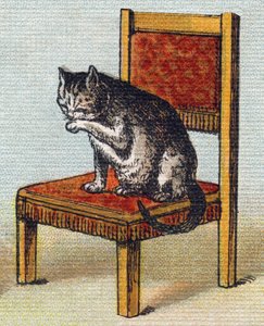 En katt på en stol. Gravyr i "Alphabet de ma petite fille". Bernardin-Bechet och Fils, bokhandlare-förlag, Paris, omkring 1895. Okrossbart album på duk. Bibliotheque des Bebes. 12 sidor. Album innehållande en läsmetod och en illustrativ abeceda av Unbekannt