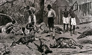 En fantastisk jaktdag! 1900 (gravyr) av Unbekannter Künstler