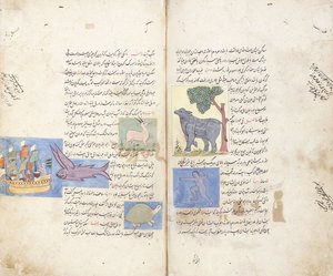 En sida från det persiska manuskriptet "Aja" ib al-Makhluqat wa Ghara "ib al-Maujudat av Unbekannt