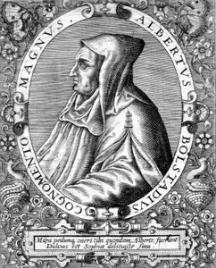 Albert Magnus (1193/1206-1280) tysk dominikansk munk, vetenskapsman, filosof och teolog, gravyr av Unbekannter Künstler