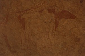 Algeriet, Saharaöknen, Tassili-n-Ajjer nationalpark, platsen för Sefar, klippmålning föreställande tjur.