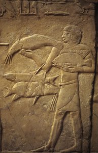 Forntida Egypten: Saqqarah (eller Saqqara eller Sakkarah): det gamla imperiets nekropol, ädel grav.. Detalj av reliefer som representerar en fiskare.