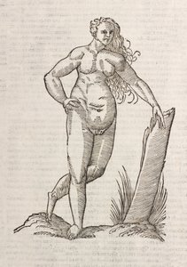 Androgynos av Unbekannt
