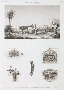 Animal Power Djurdriven bevattning, Egypten, ca 1798 av Unbekannt