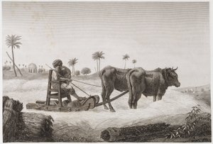 Åkerbruk, skördetröskmaskin, Egypten, ca 1798 av Unbekannt