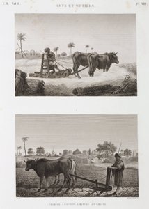 Åkerbruk, plöjning Tröskmaskin och plog, Egypten, ca 1798 av Unbekannt
