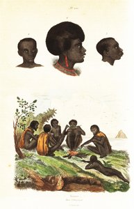 Australiska aboriginer och överhuvuden för infödda i Waigeo, Västpapua1834-1839 (gravyr) av Unbekannter Künstler