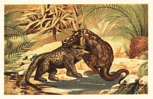 Slaget mellan en Megalosaurus bucklandii och Iguanodon bernissar1908 (litografi) av Unbekannter Künstler