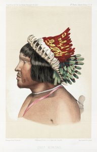 Bororo-hövding, Sydamerika, c 1843-1847 av Unbekannt