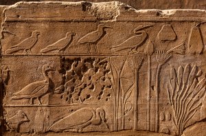 Botaniska trädgården Thutmosis III med reliefavbildningar av växter och djur, Karnak-templet, Luxor, Thebe, Egypten, Afrika (foto) av Unbekannter Künstler