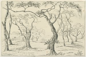 Cannock Chase: penn- och pennteckning, nd [? 1800-talet] av Unbekannt