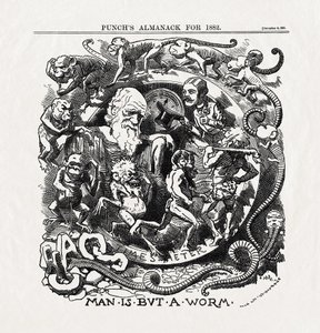 Skämtteckning om Charles Darwins (1809-1882) evolutionsteori: "Människan är bara en mask" (Människan är bara en mask) från "Punch" 06/12/1881 av Unbekannter Künstler