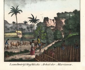 Chamarro-bönder plöjer ett fält och ristar in rader av odlingar i Marianerarkipelagen (USA). Illustration från Voyage Around the World (1824) av Louis de Freycinet (1779-1842). Litografi för boken: "Galerie complete en tableaux fideles des peu av Unbekannter Künstler