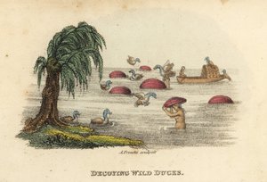 Kinesiska män jagar vilda ankor med lockande kalebashattar i floden, Qingdynastin. Handkolorerat kopparstick av Andrea Freschi efter Antoine Cardon från Henri-Leonard-Jean-Baptiste Bertin och Jean Baptiste Joseph Bretons China, Its Costumes, Arts, av Unbekannter Künstler