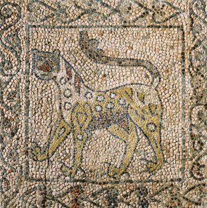 Church of Saint John Evangelist, fjärde korståget, fragment av mosaikgolv som representerar fläckig panter, Ravenna, Emilia-Romagna, Italien av William M. Timlin