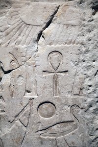 Coptos, Sesostris 1:s tempelfragment, Detalj av Unbekannter Künstler