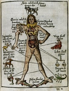 1500-talets kosmografi: zodiakens man av Unbekannt