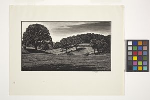 Country Scene (bläck) av Unbekannter Künstler