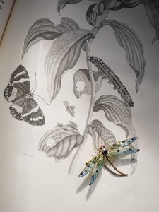 Deborah Devonshires insekts- och insektssmycke ovanpå 