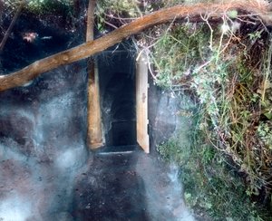 Hundgrotta nära Neapel - hundar kvävs av koldioxid och människan överlever av Unbekannter Künstler