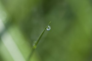 Droplet (foto) av Unbekannter Künstler