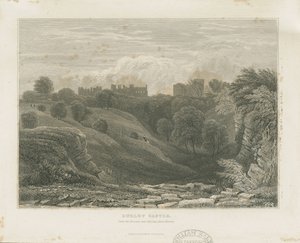 Dudley Castle: stålgravyr och [1800-talet] av Unbekannt