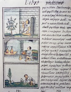 Ätliga växter, sida från bok XI av den florentinska kodeksen, tvåspråkig version på spanska och Nahuatl, Allmän historia om det nya Spaniens saker, av den spanska missionären Fray Bernardino de Sahagun (1499-1590). Aztekisk civilisation av William M. Timlin