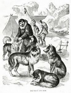 Esquimaux och hundar. 1902 (lito) av Unbekannt