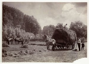 Jordbruksscener, skörd och lagring, höskapning före 1900, ca 1890 av Unbekannt