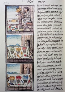 Fjäderbearbetning efter den spanska erövringen, sida från Florentine Codex, tvåspråkig version på spanska och Nahuatl, General History of Things of New Spain, av den spanska missionären Fray Bernardino de Sahagun. Aztekisk civilisation av William M. Timlin