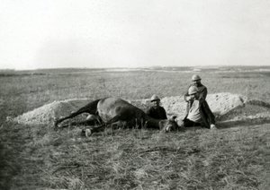 Första världskriget 14-18 (1914-1918): tre franska soldater begraver en död häst - fotografi på glasplåt av Unbekannter Künstler