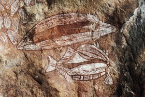 Fisk, hällmålning, Arnhem Land, Northern Territory, Australien, Aboriginal kultur