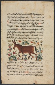 Annat (fynd), från ett nezhantami-kast (utmärkt bok om vi kommer att anlända) från Shahmarda Ibn Abi al-Khair av Unbekannt