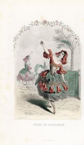 La fee de la fleur de grenade danse - Etsning av Charles Geoffroy (1819-1882), efter en illustration av Jean Ignace Isidore Gerard dit J.J.J.Granville (1803-1847), för Les fleurs animees av Unbekannter Künstler