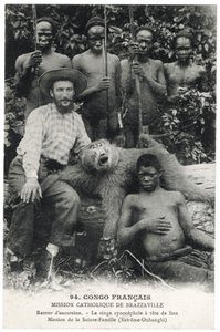 Cynocephalic apa med lejonhuvud, ca 1910 (litho) av Unbekannt