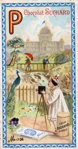 Bokstaven P: palats, paviljong, paraply, fotograf, bro, fiske, påfågel, pensee. Gravyr av alfabetet redigerad av Chocolat Suchard, början av 1900-talet. 24 kromolitografier som representerar platser, karaktärer och föremål som ska upptäckas i av Unbekannt