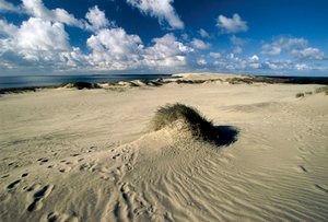 Litauen, Klaipeda, Kuriska spotten, Nida, rörliga sanddyner som kallas Preussiska Sahara av William M. Timlin