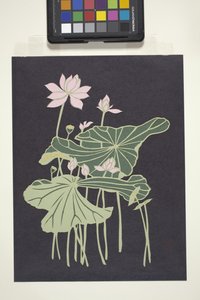 Lotus (flerfärgat klippt papper) av Unbekannter Künstler