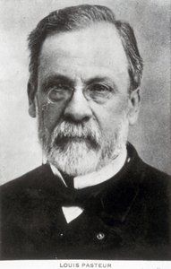 Louis Pasteur, fransk kemist och mikrobiolog, ca 1885 av Unbekannter Künstler