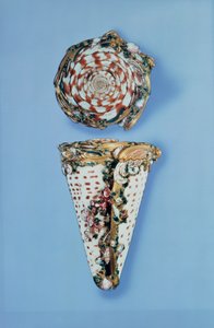 Louis XV snusdosor i guld i form av skal av B. Sagaret, Paris (1715-74) av Unbekannt