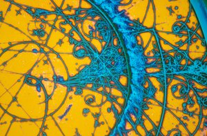 Mikrofotografier (Ljus) Aluminiumbrons, ljusmikrofotografi av Unbekannt