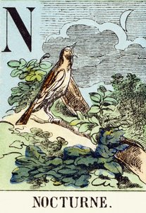 N : Nocturne - Jaktalfabetet, ca 1890 (gravyr) av Unbekannt