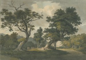 Needwood Forest: akvarellmålning och [tidigt 1800-tal] av Unbekannt