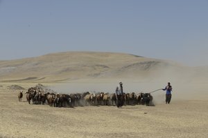 Nomadtält mellan Tamar och Ashkhaneh, Iran 2022 (fotografi) av Unbekannter Künstler