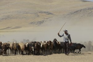 Nomadtält mellan Tamar och Ashkhaneh, Iran 2022 (fotografi) av Unbekannter Künstler