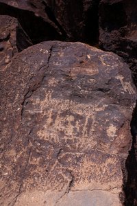Petroglyphs föreställande djur och karaktärer - Petroglyph National Monument - Albuquerque, New Mexico, USA (USA) av William M. Timlin
