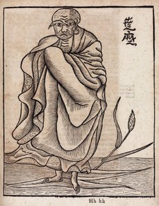 Porträttdagen Bodhidharma (v av Unbekannt