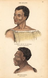 Porträtt av Te Kewiti, son till Te Kauwain, ung hövding för maorierna Ngate Watnas, Nya Zeeland, och porträtt av en tatuerad maori, nyzeeländare, tecknat i London av Agasse. Handkolorerat stålstick av Lizars efter en illustration av Charles Hamilton Smith av Unbekannter Künstler