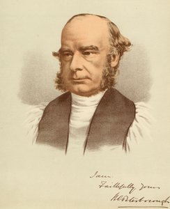 Porträtt av William Magee av Unbekannter Künstler