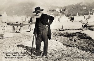 Professor Ernst Haeckels i Rapallo, Italien (s/v foto) av Unbekannt